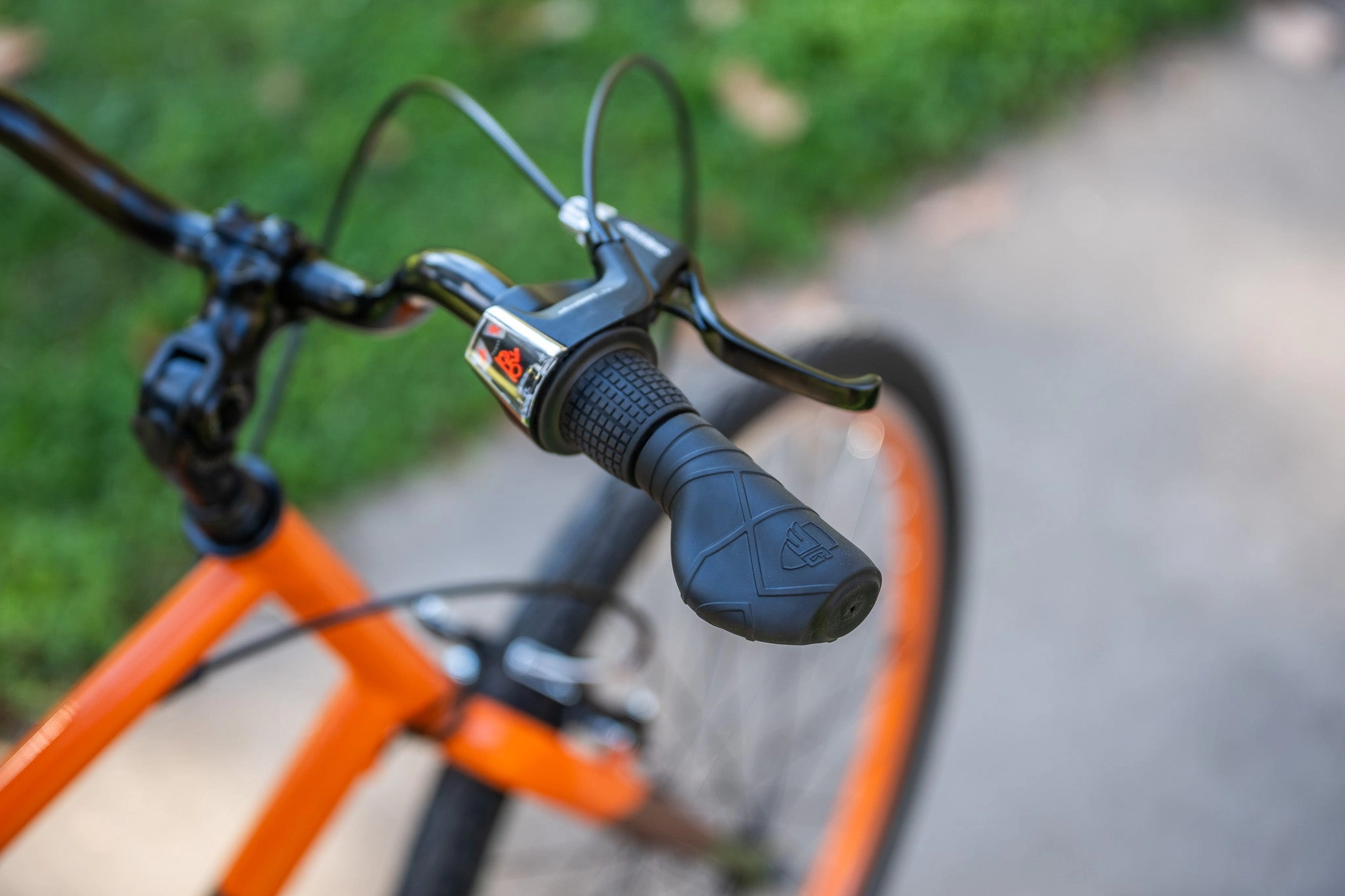 Adult Bike