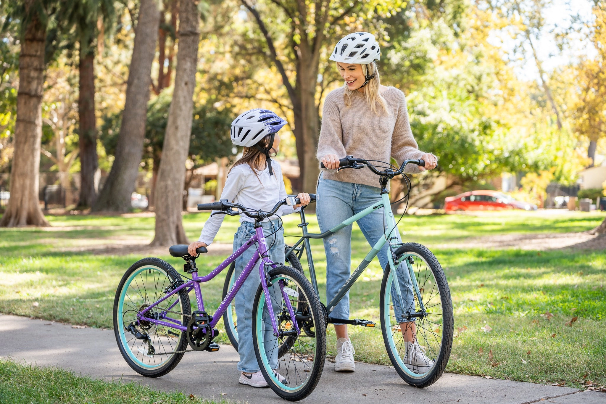Adult Bike