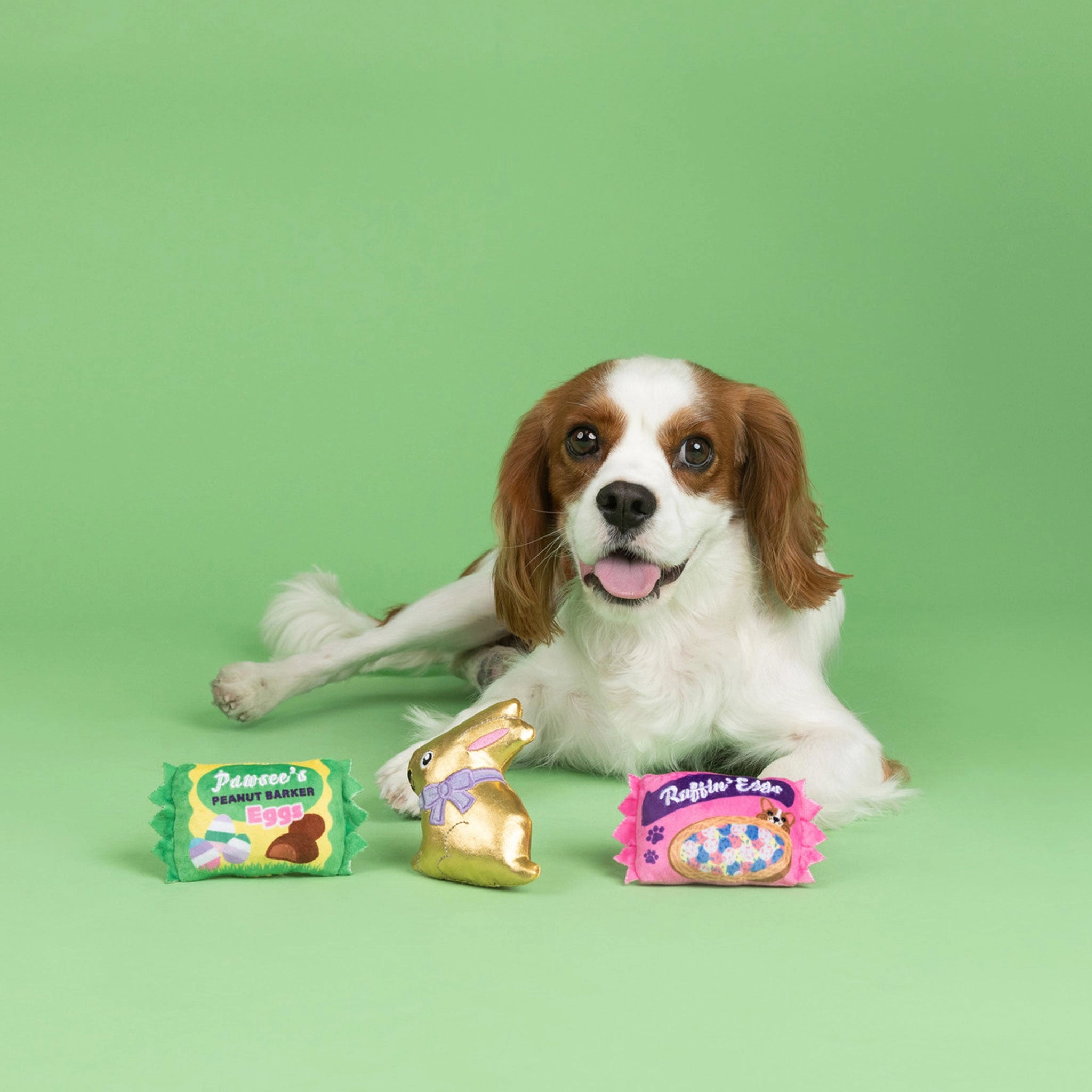 Fringe Eggstra Sweets Dog Toy Set - 3 Pack
