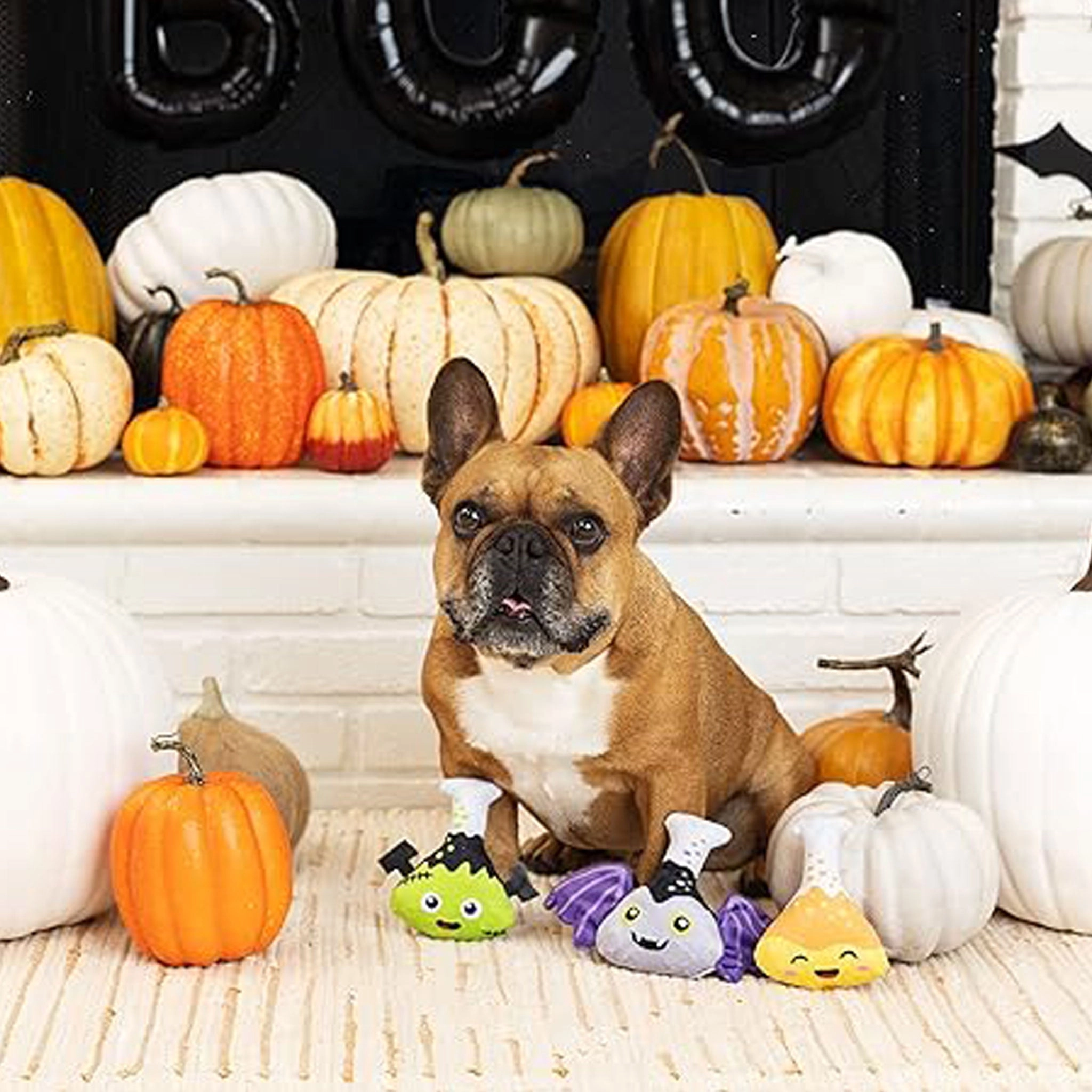 Fringe Mad Science Dog Toys