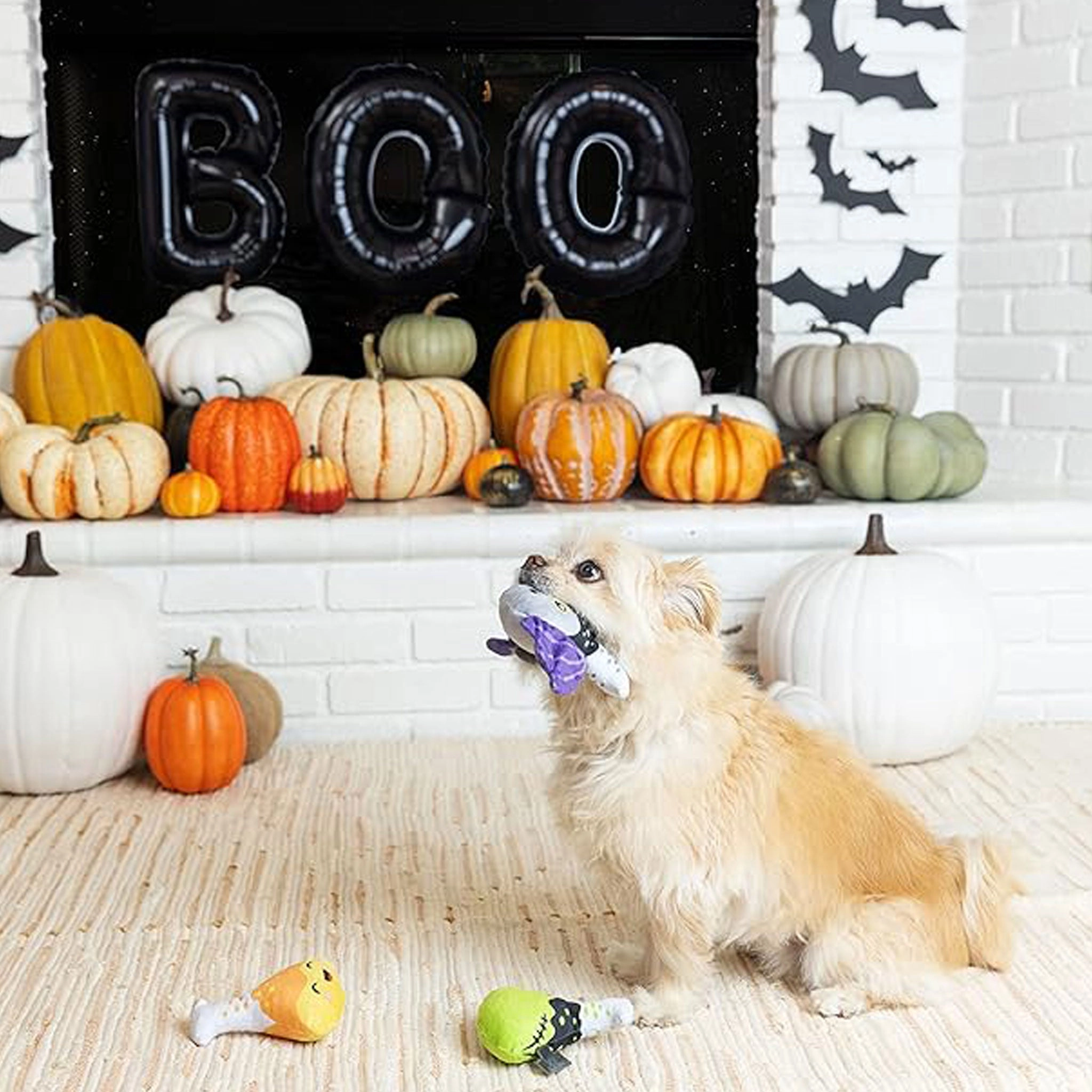 Fringe Mad Science Dog Toys
