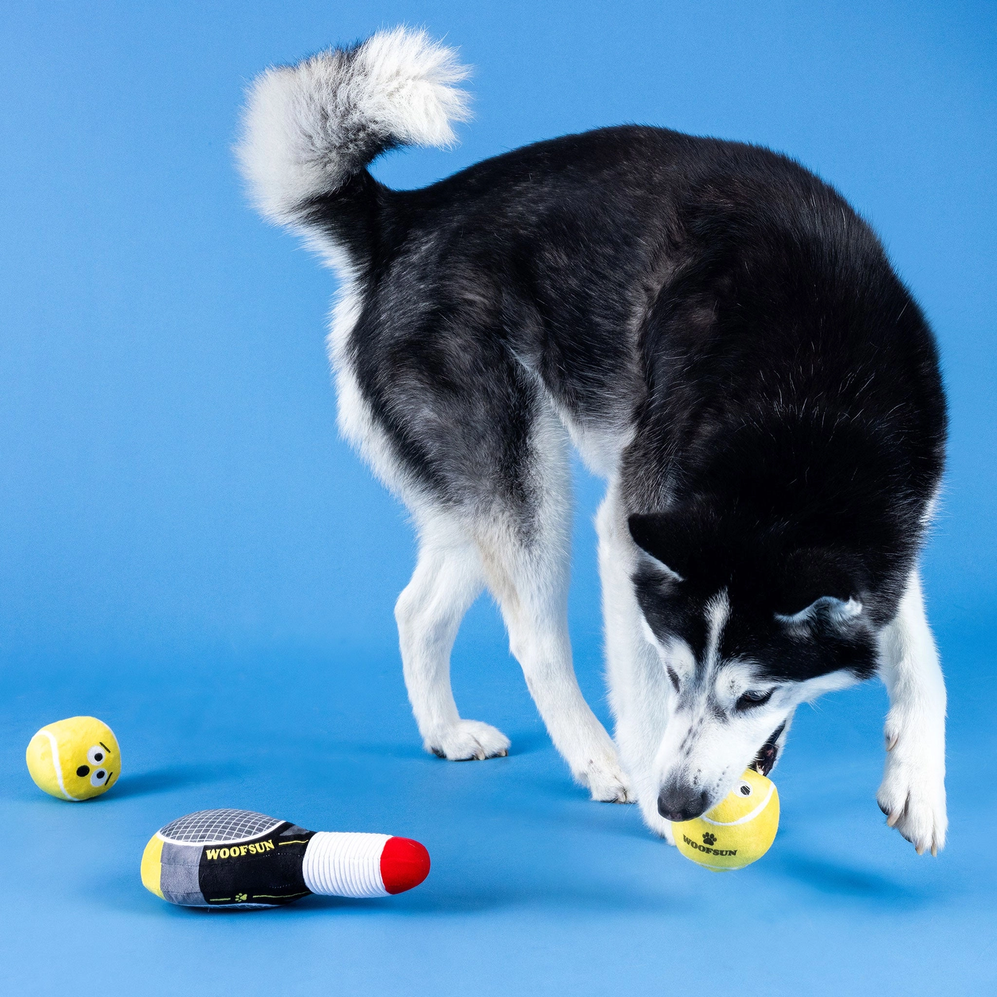 Fringe Serving Aces Dog Toys