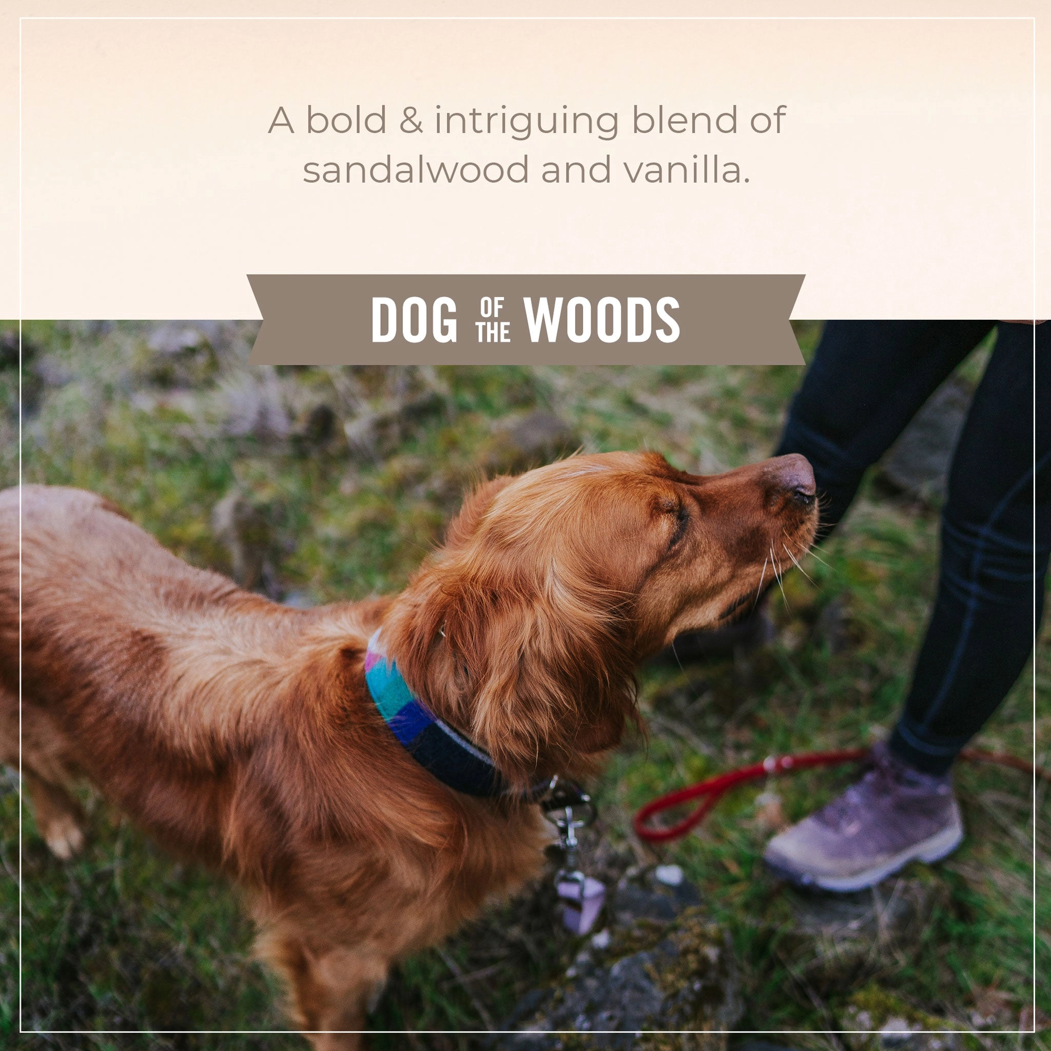 Skout's Honor Detangler Spray Dog of the Woods Dog Grooming