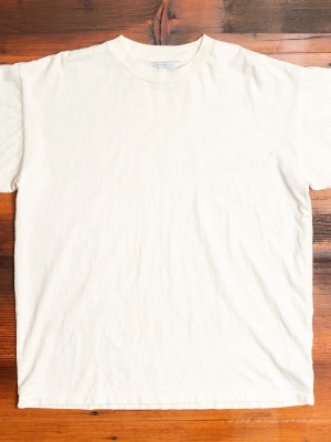 University T-Shirt in Salt